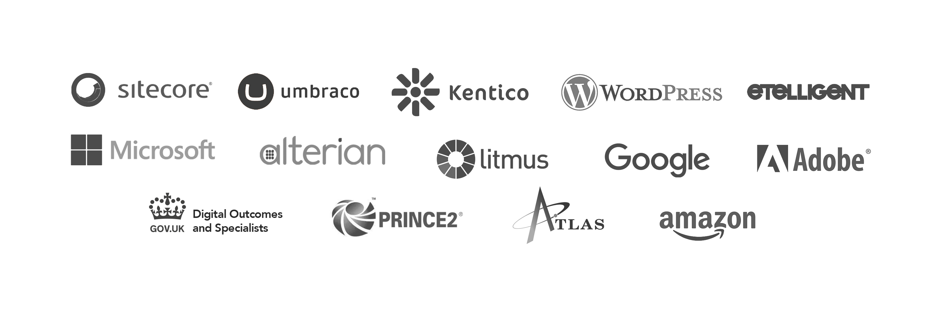 Sitecore - Kentico - Wordpress - TYPO3 - etelligent - Microsoft - alterian - litmus - Google - Adobe - Gov.uk - Prince2 - Atlas - amazon